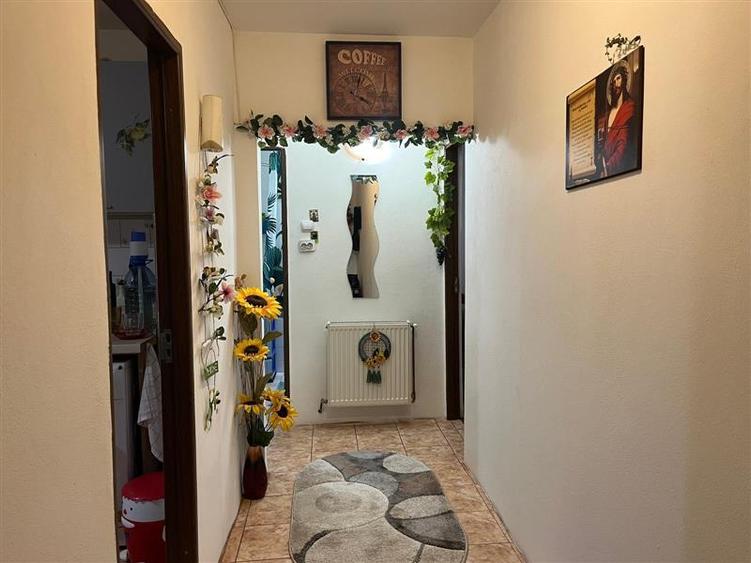 Lugoj, Ap. Superb, 2 Cam. 83 MP. Parter - 4