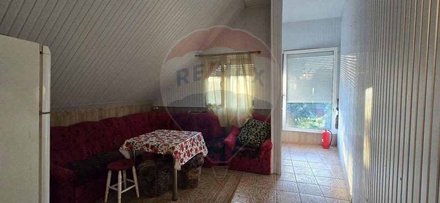 PENSIUNE IN CHISINEU CRIS - 20