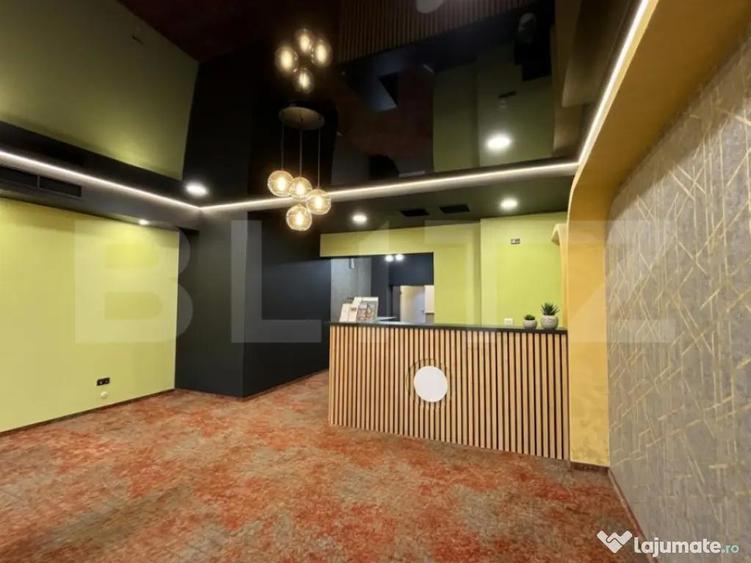 Spa?iu Comercial | 132 mp utili | Zona Torontalului - 3