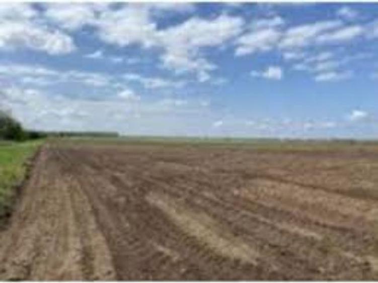 2,25 ha teren agricol in comuna Leu din judetul Dolj - 1