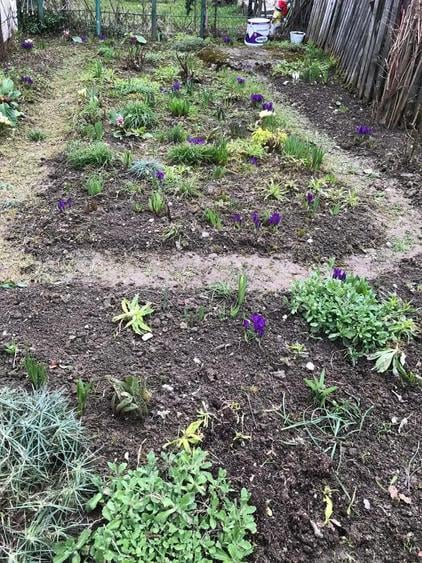 Predeal, apartament 2 camere dec et 1 - 7