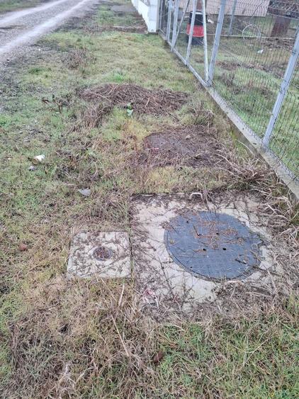 Vanzare teren 1000 mp Gradistea, Ilfov - 6