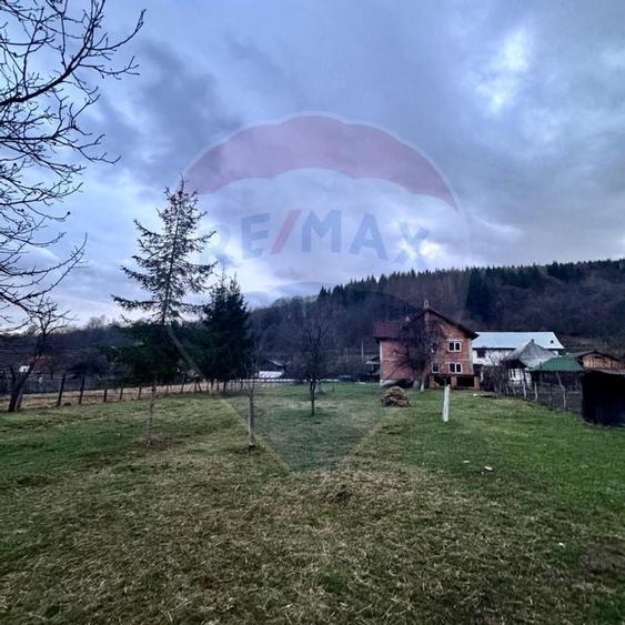 Casa de vis Valea Silistii - spatiu generos, natura si liniste deplina - 15