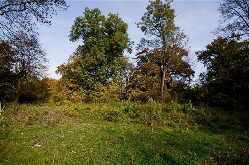 De vanzare Domeniu Baronial SAT CIL - 8