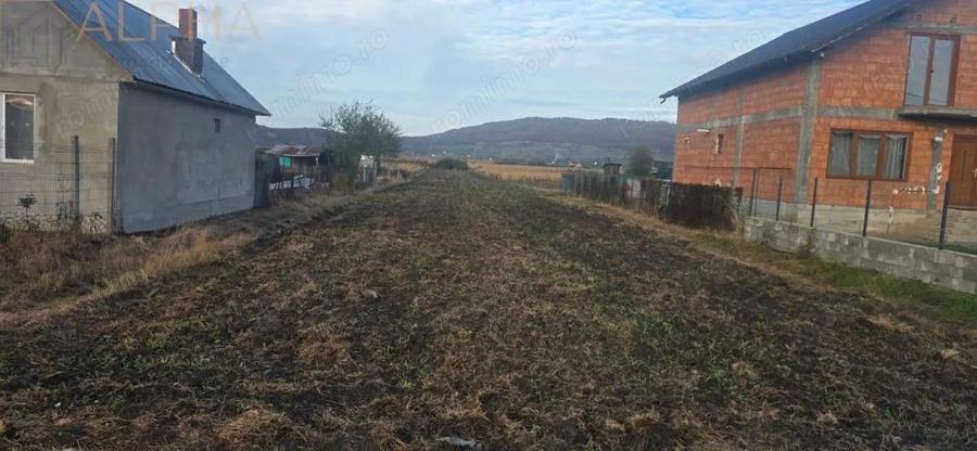 Teren intravilan de vanzare - Chintelnic, Jud. Bistrita-Nasaud - 1