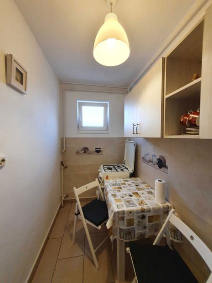 Vand Garsoniera Theodor Pallady - 6