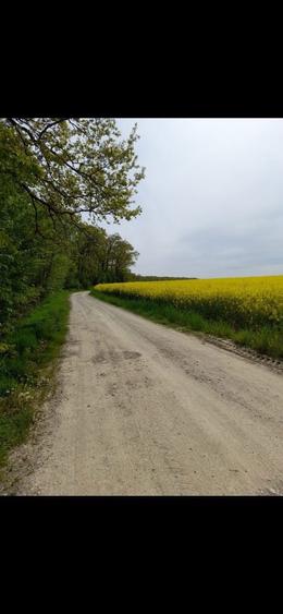 PARTICULAR - Teren Caldarusani de vanzare - 2