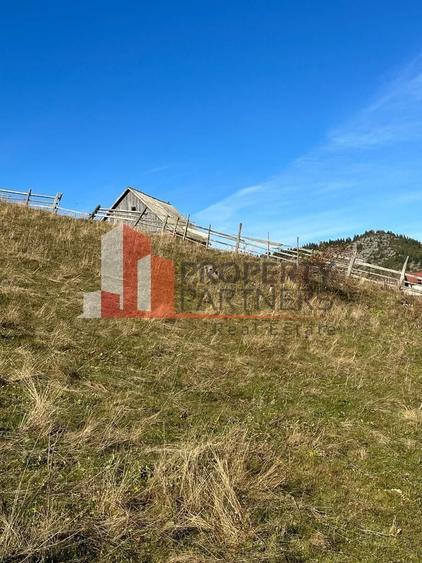 Teren Fundatica intravilan 4500 mp - 10