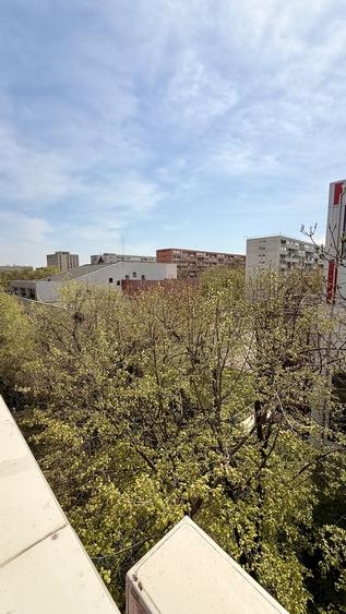 Campia Libertatii, sect 3, parcul Gheorghe Petrascu - 6