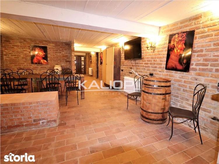 Casa individuala | 8 camere | 1200 mp | Piscina | Crama | Garaj | Fage - 8