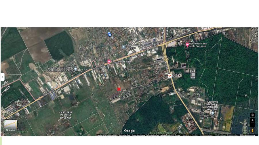 Pădurea Băneasa - 1