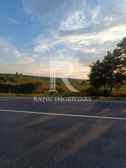 Teren agricol extravilan de 5755 mp, în Hidișelu de Sus