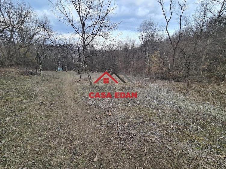 Teren extravilan in Provita--3448mp-12.000e - 3