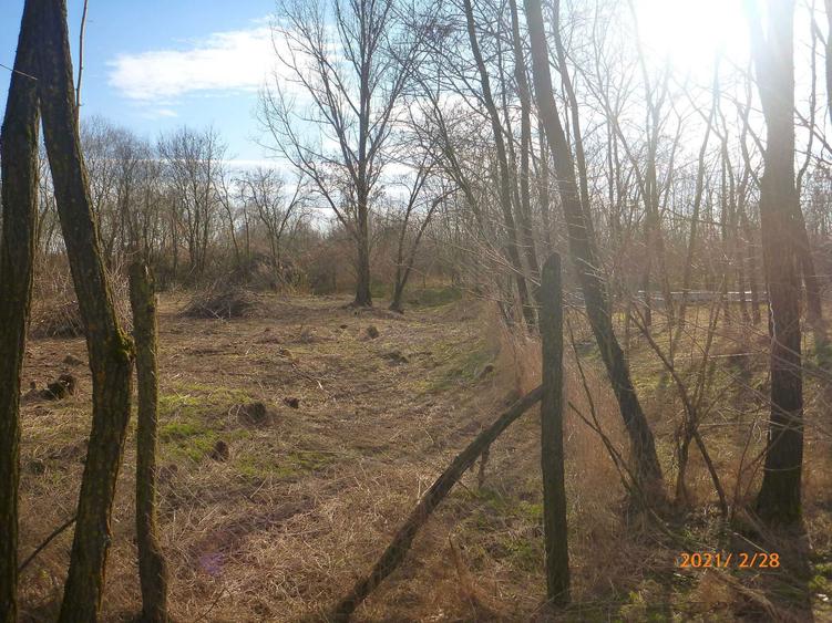 Vand teren in Nagygec (Csengersima) 10 km de Satu Mare - 4