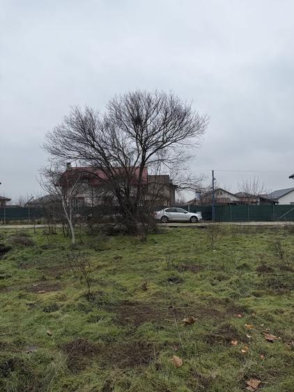 Vand teren in Cornetu 500 m2 - 6