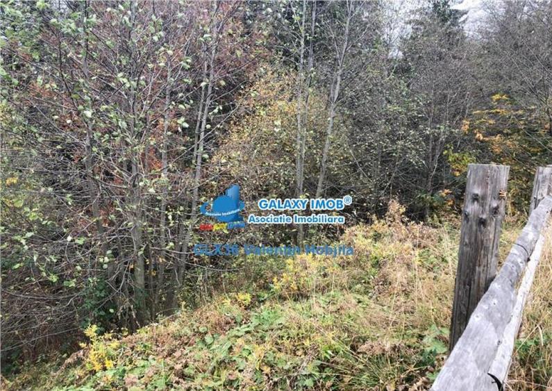 Teren 850 mp Predeal Cioplea - Belvedere - 16