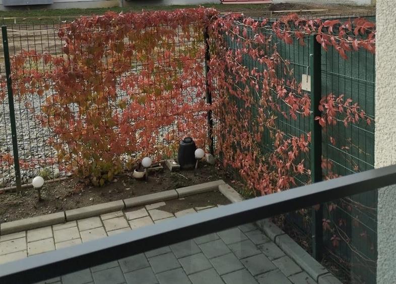 Apartament modern 2 camere balcon curte parcare zona Doamna Stanca - 18