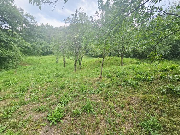 Teren intravilan de vânzare – 2.190 mp – Podu Vadului, Breaza - 7