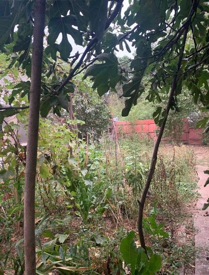 Vanzare Loturi  Teren  Voluntari Matei Millo /Popasului A3 - Pipera - 6