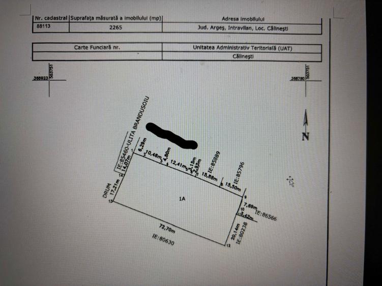 Teren intravilan, Loc. Calinesti, Arges - 3