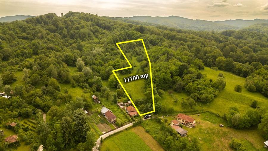 Teren de 11600 mp în mijlocul naturii la 2 ore de București - 1