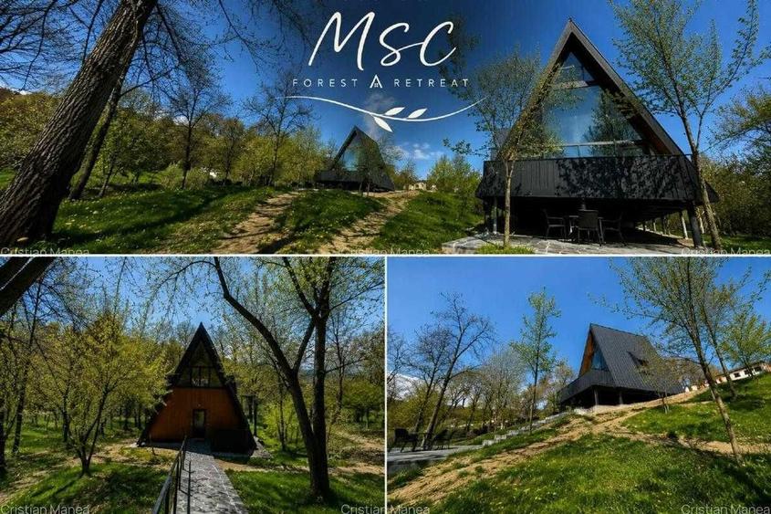 Complex A-Frame 2 cabane construite + 3 in proiect (AC) - suprafata 2157 mp - 6
