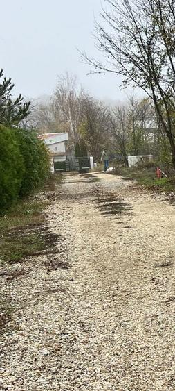Teren Ciolpani Piscu langa Lac Scrovistea Zona Snagov - 3