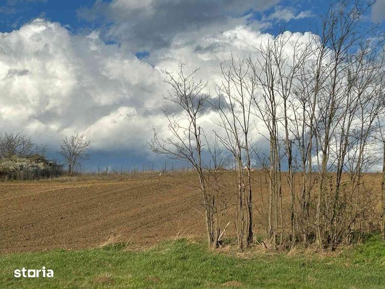 Parcele teren 430 mp extravilan Rediu loturi ideale pt investi?ie - 5