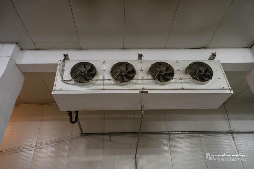 Depozit refrigerare 405 mp si birouri - 6