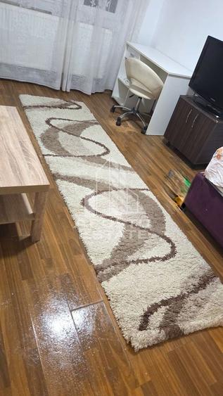 Garsoniera Micalaca Orizont - 2