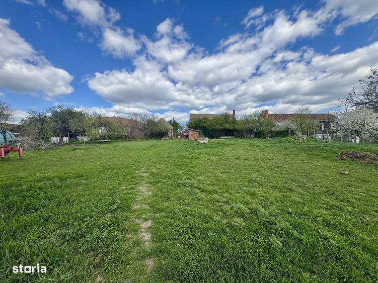 Vand teren 4097 mp, Aradul Nou - 2