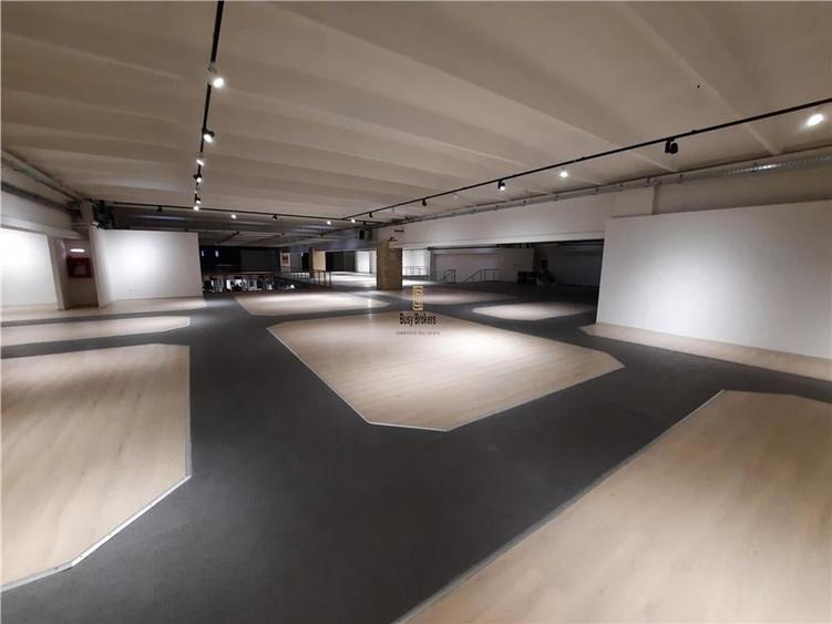 Spatii Comerciale - 500 mp - Showroom - Comert - 1