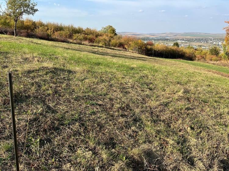 Teren de 1240 mp, în Vlădiceni