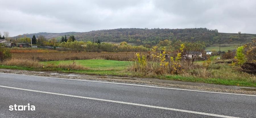 Teren de 2000 mp, în Traian