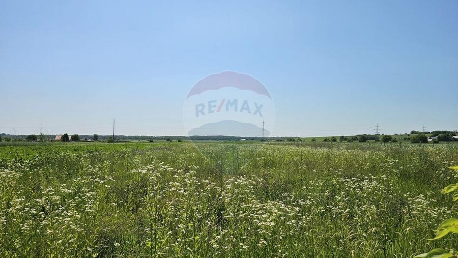 Casă / Vilă cu 6 camere de vânzare in Hânțești, Suceava - 55