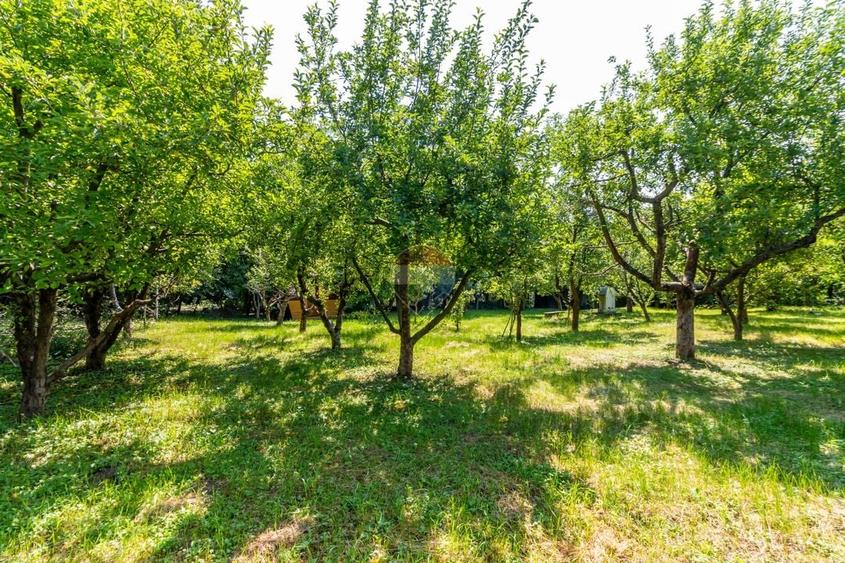 Casă individuală cu 17 camere cu Teren 3425 Mp în Est