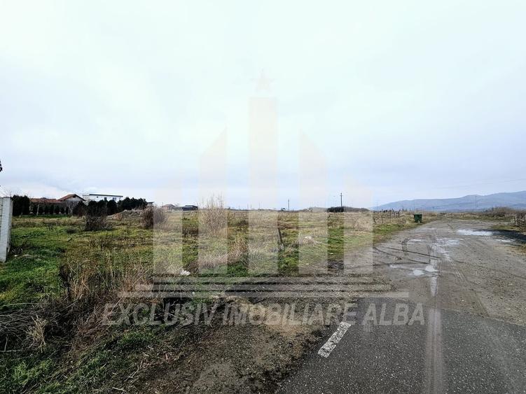 Teren intravilan | De vanzare | 5500 mp | 20 ml deschidere | Sebes - 1
