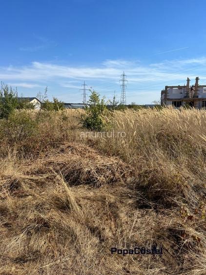 Balotesti, teren 573 mp, deschidere 24 ml, zona in plina dezvoltare