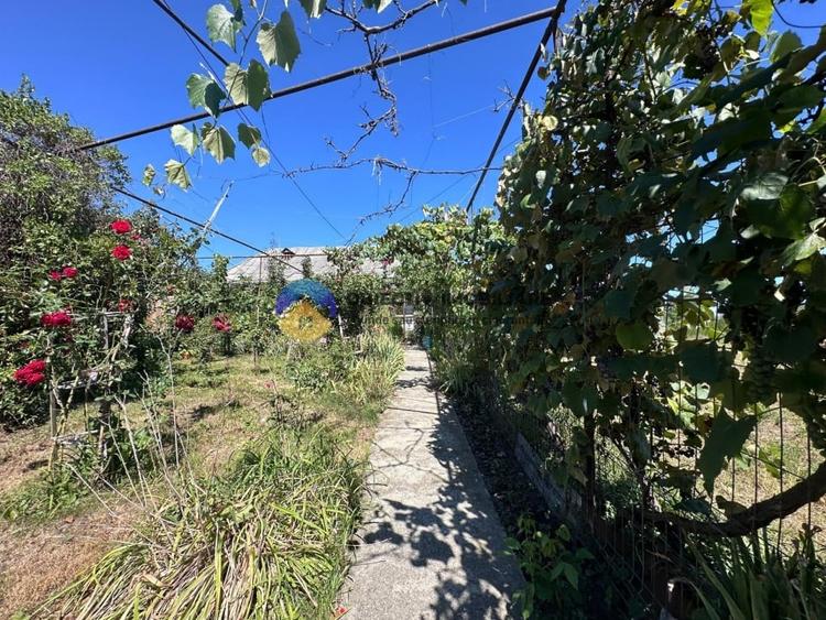 Casa + teren de vanzare - Zanesti - 19