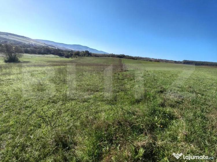 Teren intravilan de vanzare - 2