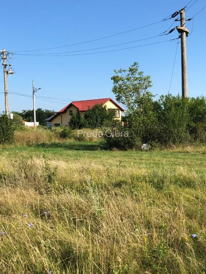 Teren Periș, Ilfov, Padurea Scrovistea