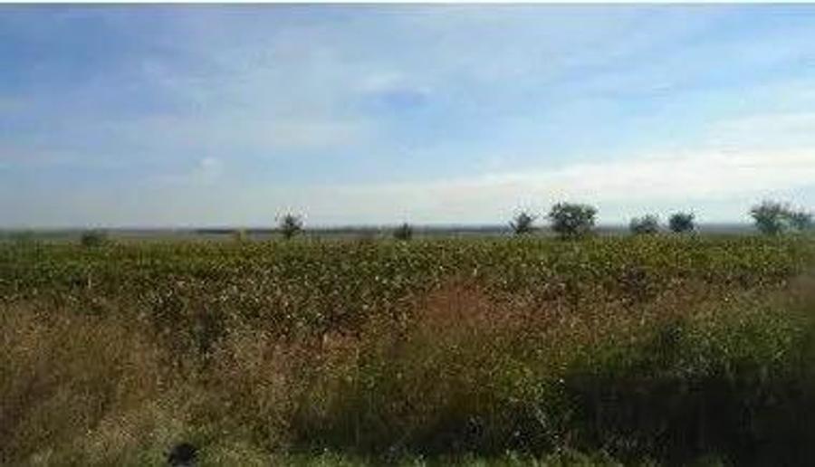 Teren extravilan Obrejita, ID: R2832813 - 2