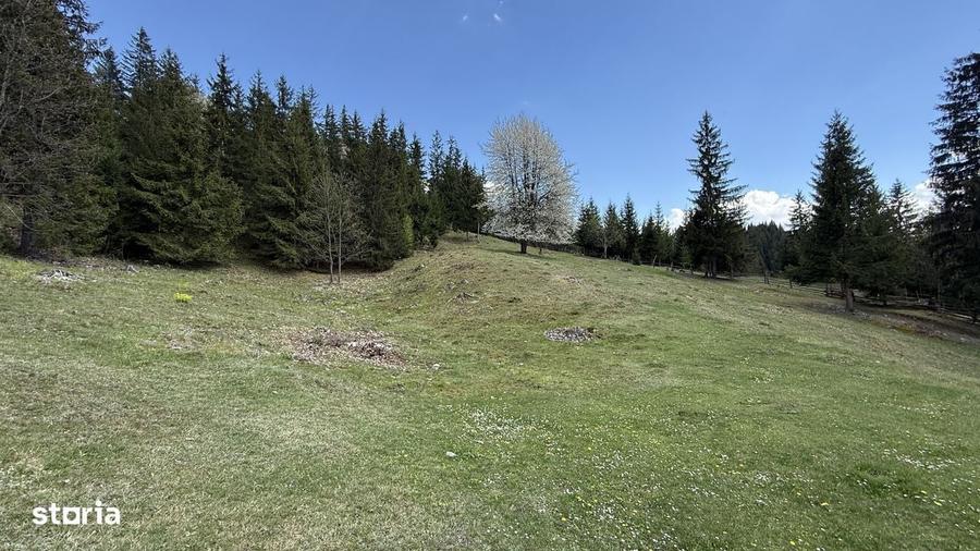 Teren 1.29 ha + 1 ha padure, acces usor - 2