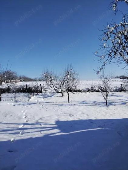 Casa de vanzare in Caline?ti, jud Boto?ani - 5800 mp teren - 1