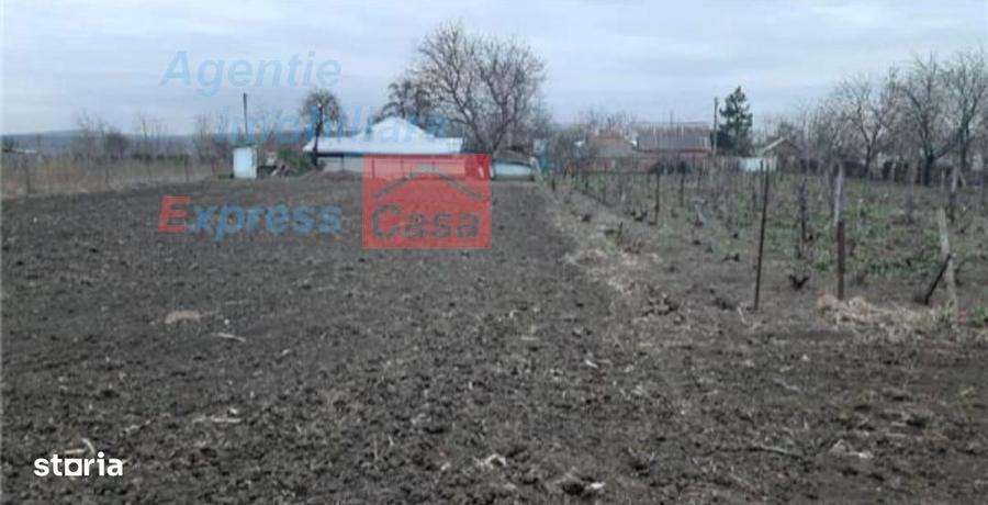 Teren de vanzare 3000 mp, Prisacani (27 km de IASI) - 6