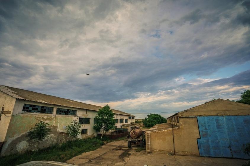 Poarta Alba, hale depozitare productie, teren 9100 mp - 6