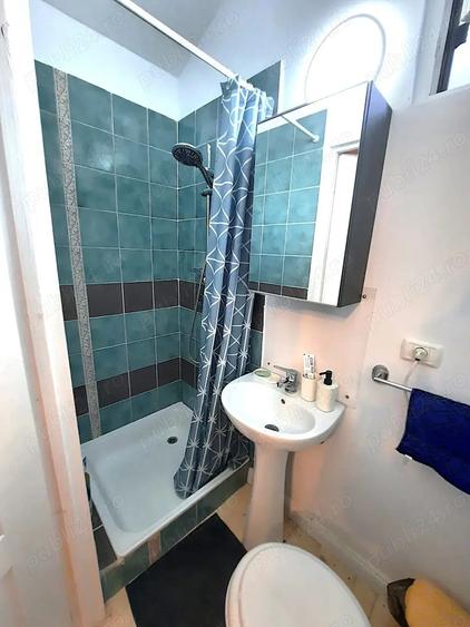 Cabana Insula Mures | 3 insule | cu iesire la Mures - 6