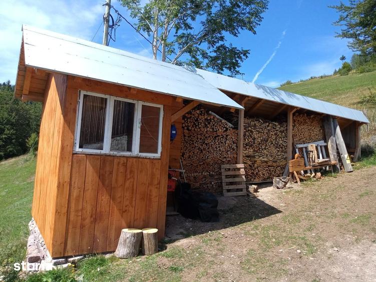Proprietar, vand teren ?i gospodarie in comuna Arie?eni - 7,5euro/mp - 13