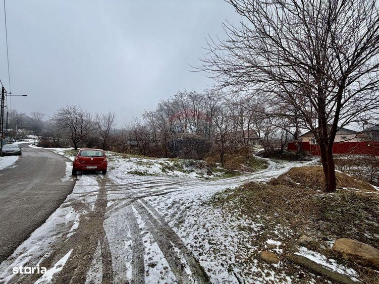 Casa Bolotesti / Vitanestii de Sub Magura - 20