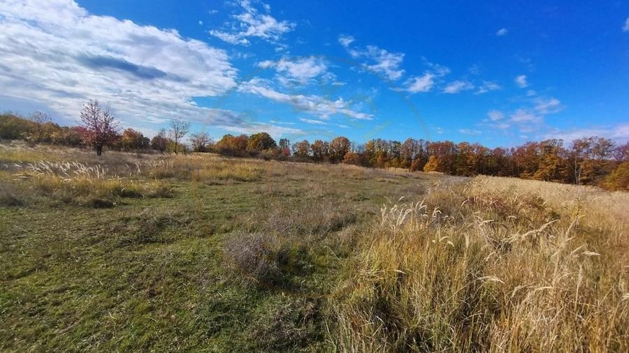 Teren Arges - Mosoaia - 7